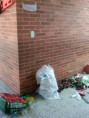 /album/jornada-de-reciclaje/img00915-20120424-1009-jpg/
