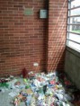 /album/jornada-de-reciclaje/img00917-20120424-1009-jpg/