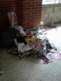/album/jornada-de-reciclaje/img00919-20120424-1009-jpg/