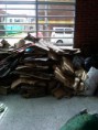 /album/jornada-de-reciclaje/img00920-20120424-1009-jpg/