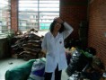 /album/jornada-de-reciclaje/img00925-20120424-1012-jpg/